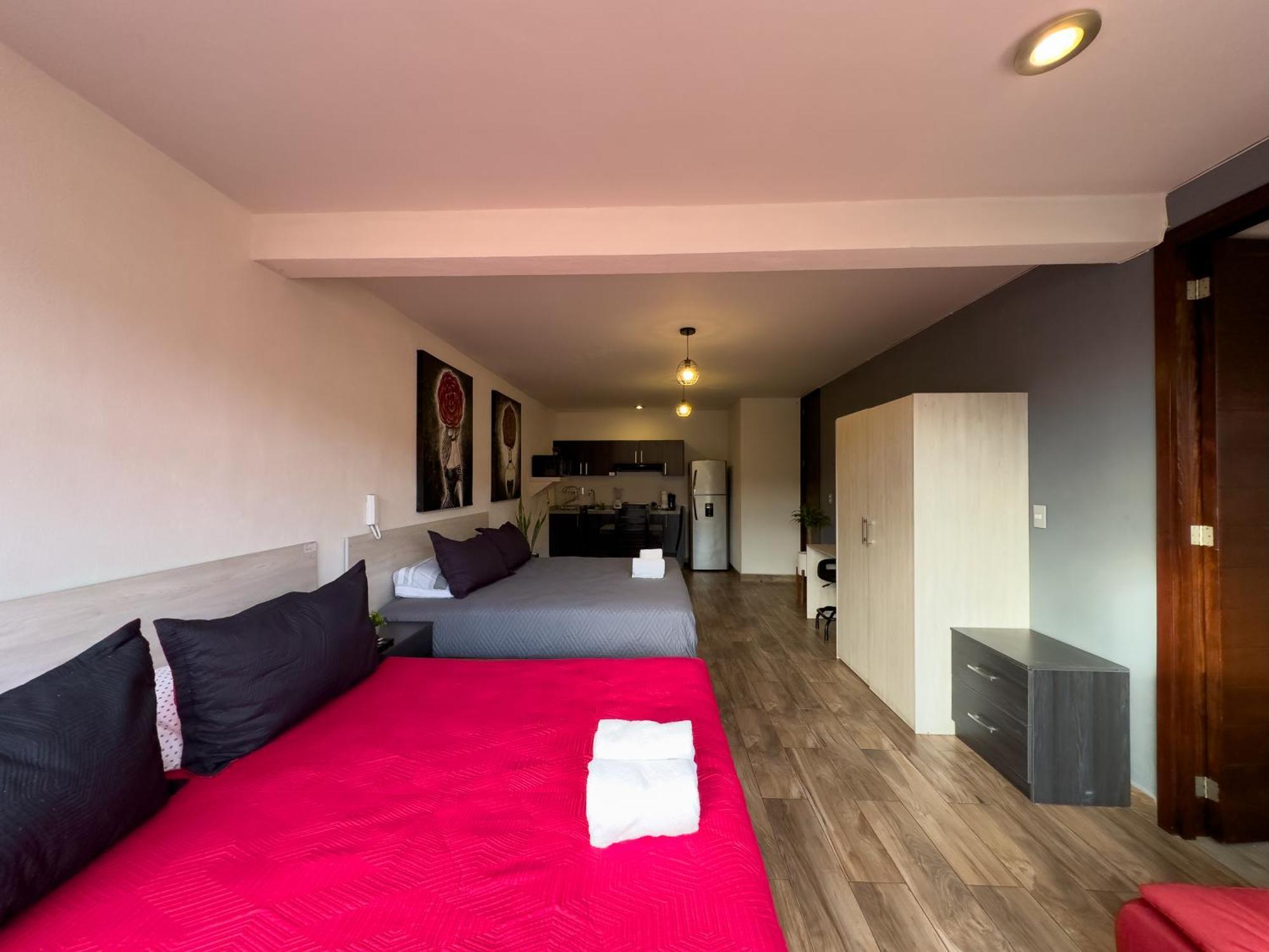 Loft Moderno En La Zona Americas